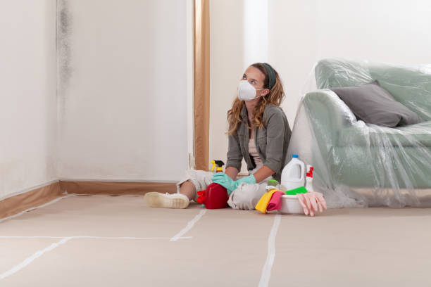 Reliable Basement Mold Remediation contractor in Middletown, NJ by WQB Mold Removal